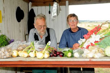 hygum hjemstavnsgård grøntsager bod