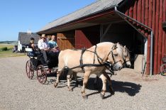 hygum hjemstavnsgård